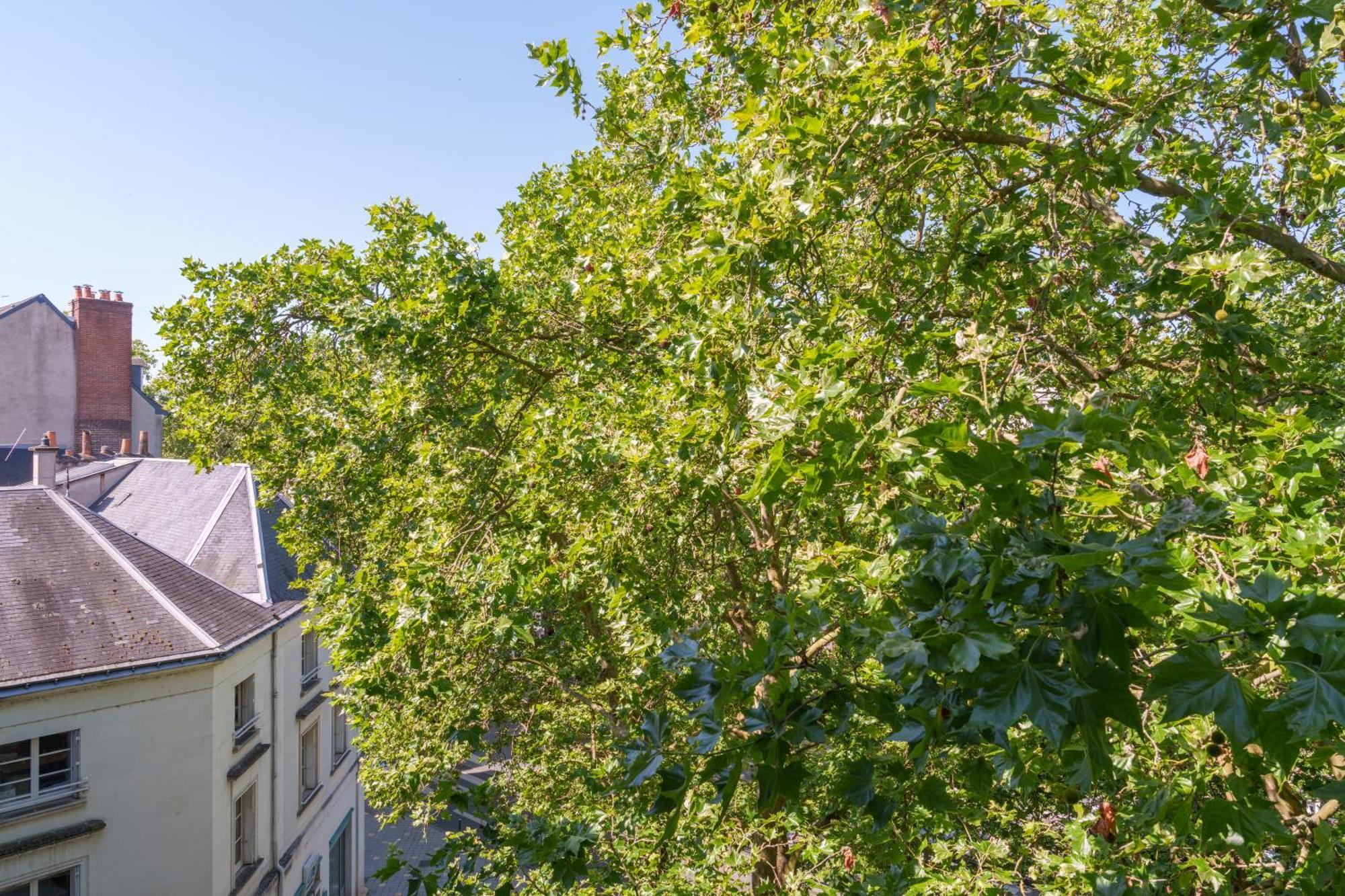 Appartement Tours Centre Avec Parking 4 P Экстерьер фото